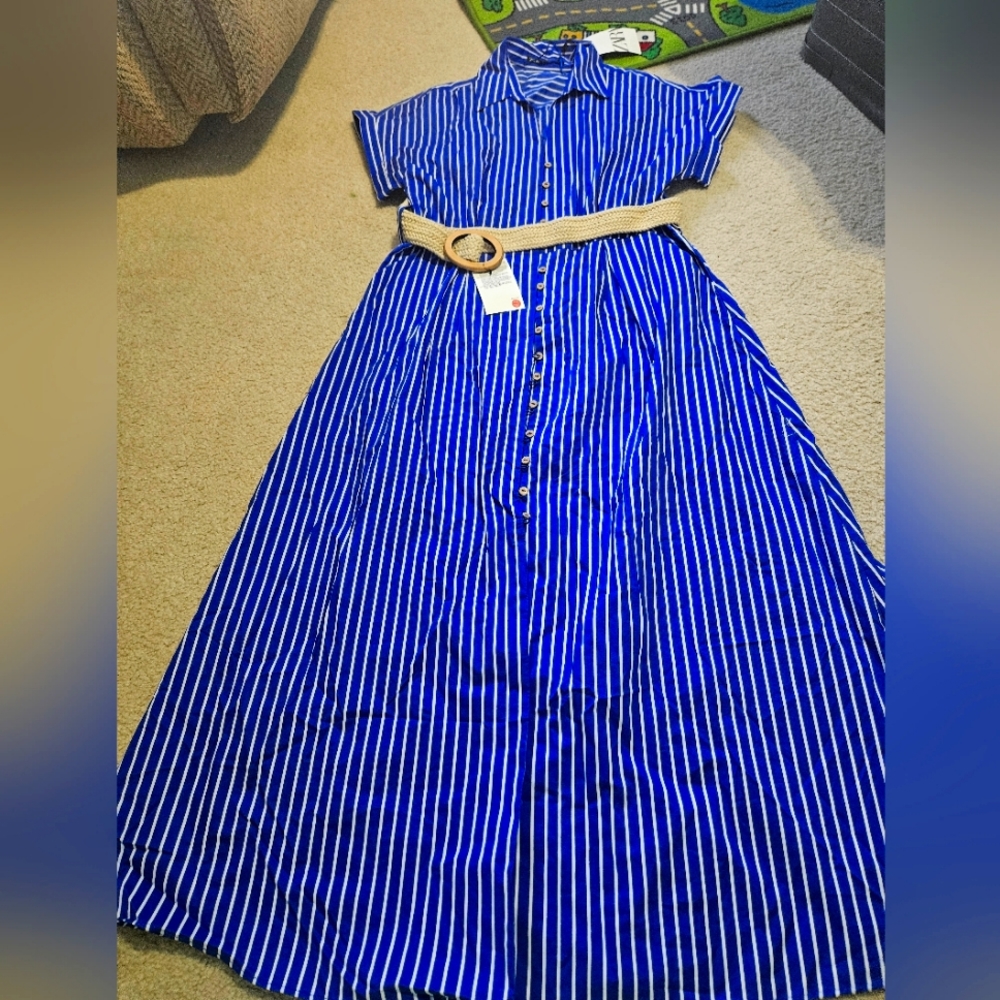 Zara dress